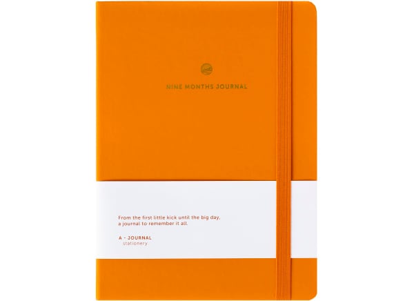 Nine Months Journal