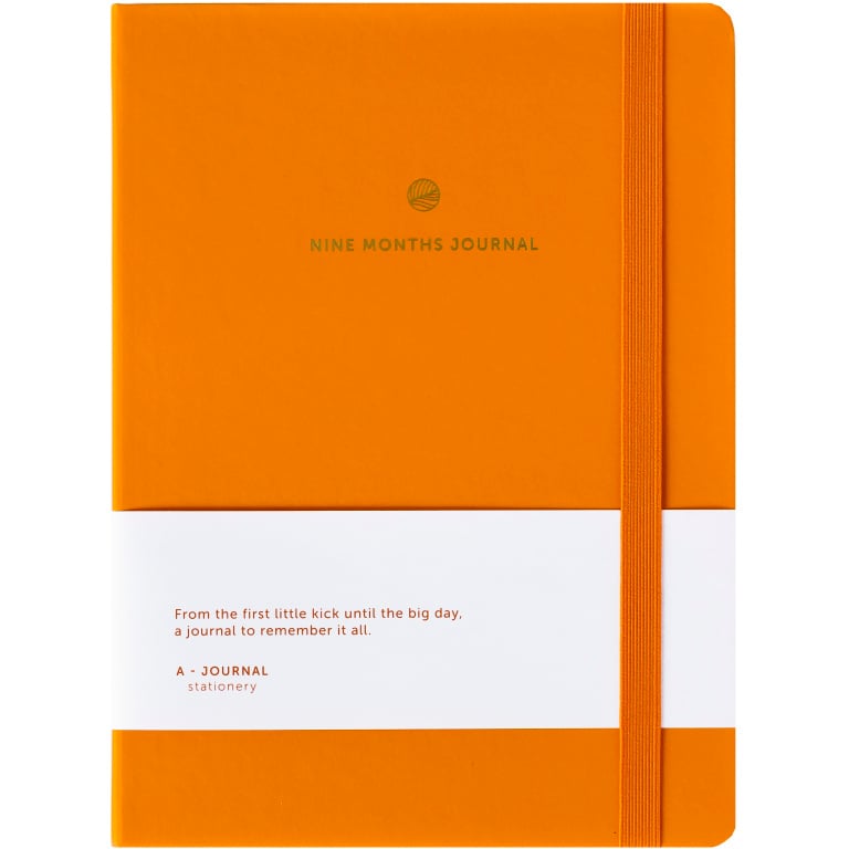 Nine Months Journal
