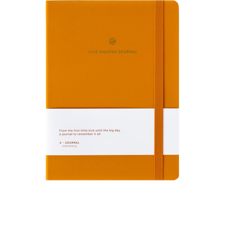 Nine Months Journal