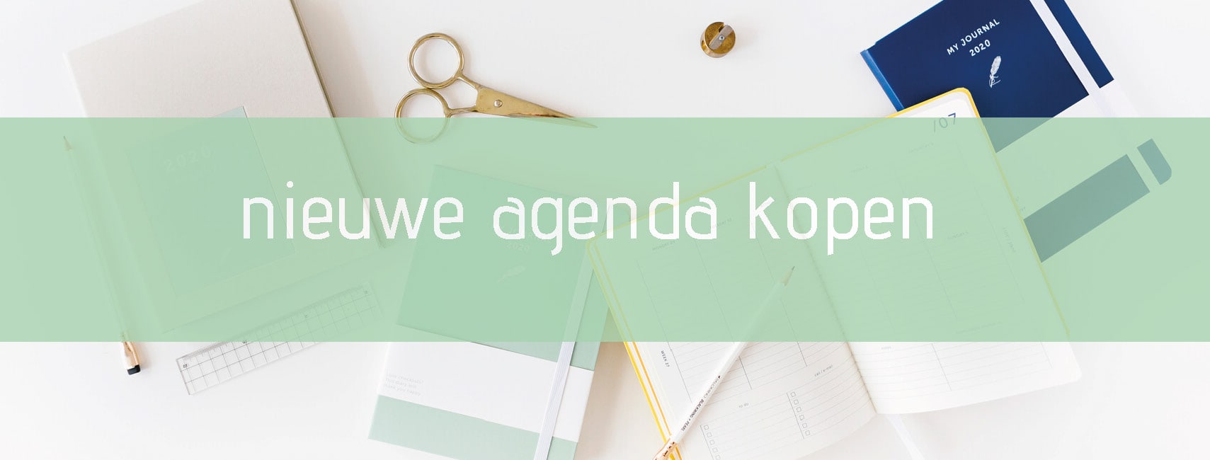 stimuleren atmosfeer wolf Een agenda voor 2020 kopen! - A-Journal Stationery