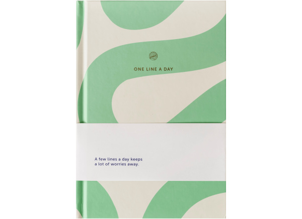 A-Journal One Line a Day – Flow Mint